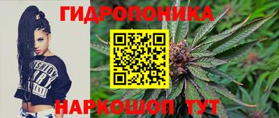 индика Ливны