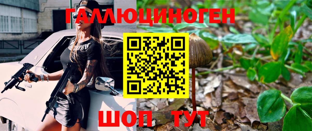 Галлюциногенные грибы мицелий  Вход с VPN  Псилоцибиновые грибы Cubensis  Черногорск 